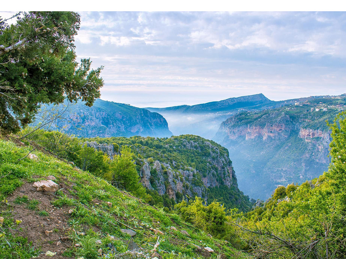 Labnon Nature Lebanon Nature Quotes The One Khalil Gibran Quote That Made Me Fall In