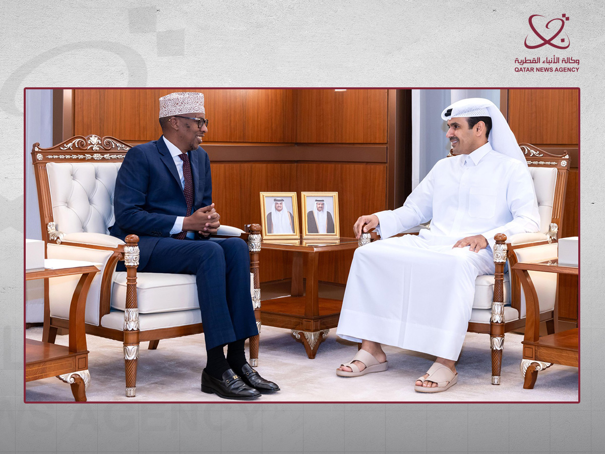 Minister of State for Energy Affairs Meets Somali Minister of Energy and Water Resources