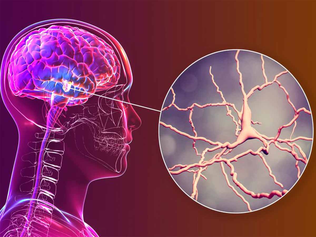 علماء صينيون يطورون خلايا اصطناعية تحاكي الدماغ البشري