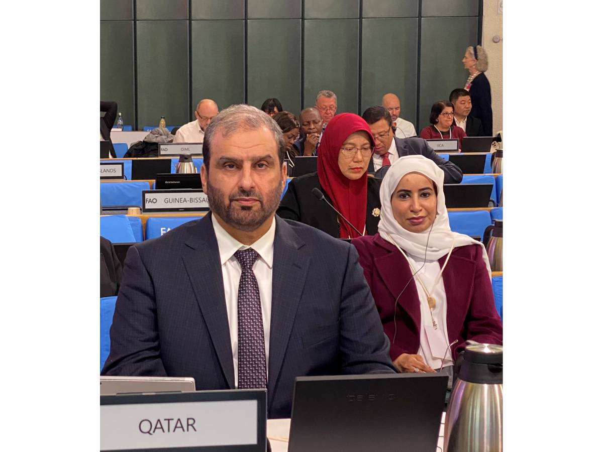 Roman Qatar Qatar news agency