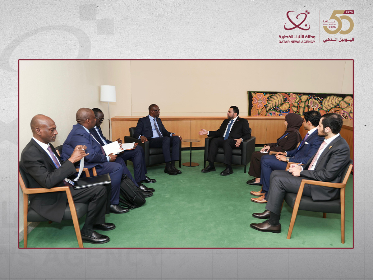 وزير الدولة بوزارة الخارجية يجتمع مع عدد من المسؤولين