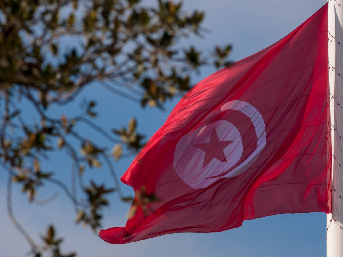 Tunisia Sees Remarkable 26% Surge in Foreign Investment in 2024!