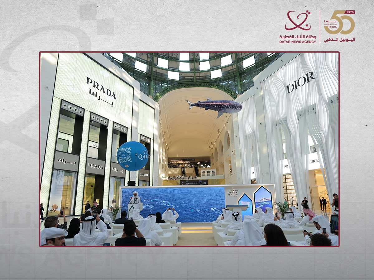 Qatar Tourism Launches the Return of Whale Shark Tours