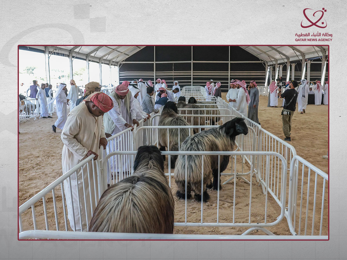 https://cdn.qna.org.qa/media/sgcnteno/qna_halal_fest_11022026.jpg?height=900&v=1dc9ba0ec027950&width=1200
