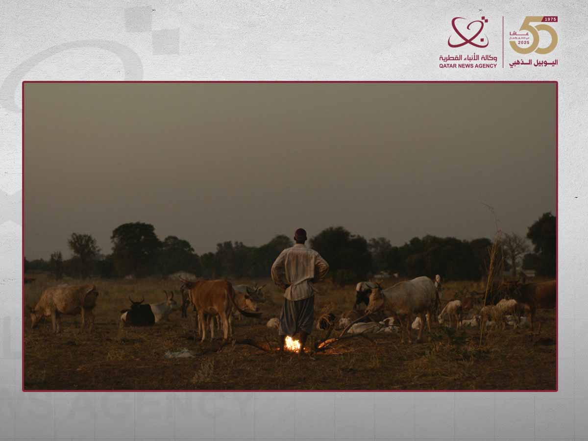 مهرجان الدوحة السينمائي يحتفي بالسرد القصصي العالمي بمجموعة من الأفلام الدولية الطويلة